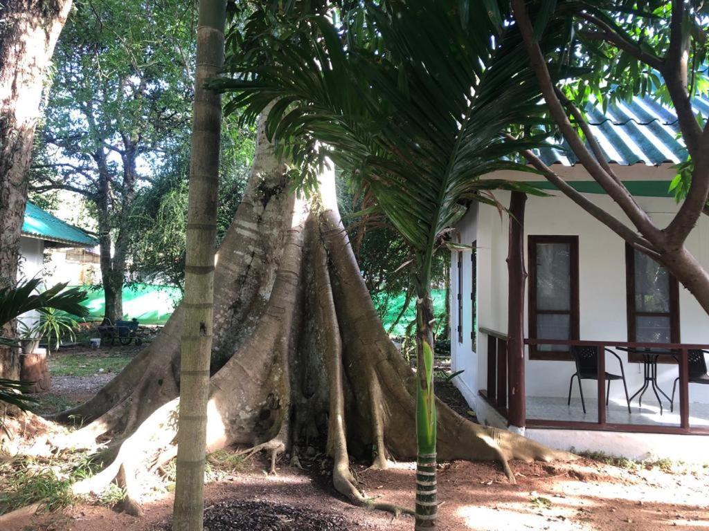 Tropical Paradise Leelawadee Resort Ko Čang Exteriér fotografie